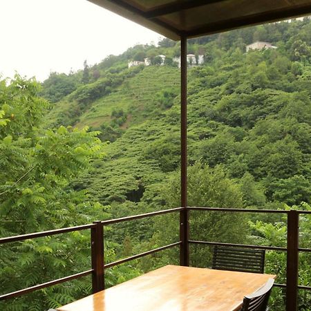 Modular House Green Zyland Y 巴统 外观 照片