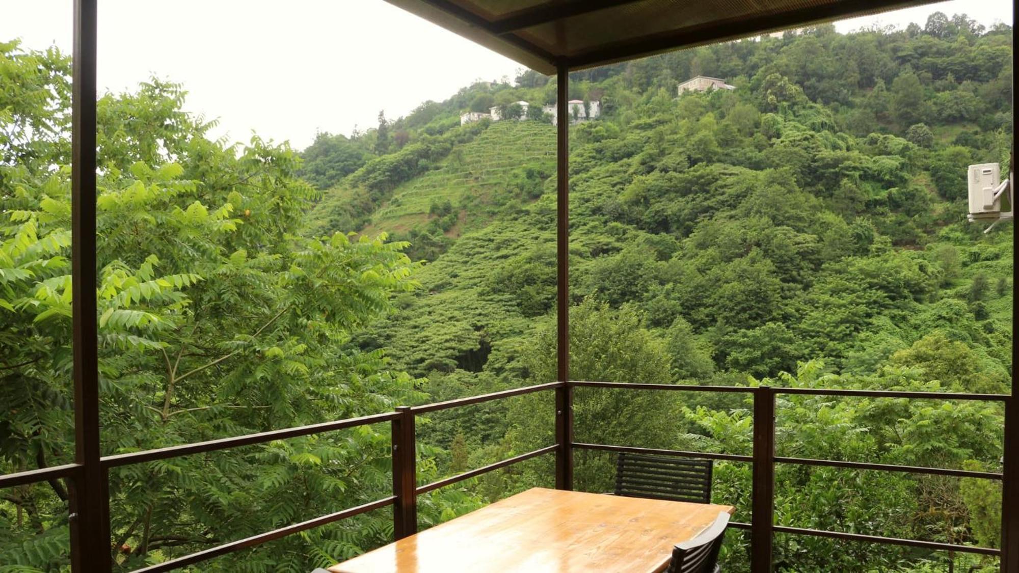 Modular House Green Zyland Y 巴统 外观 照片