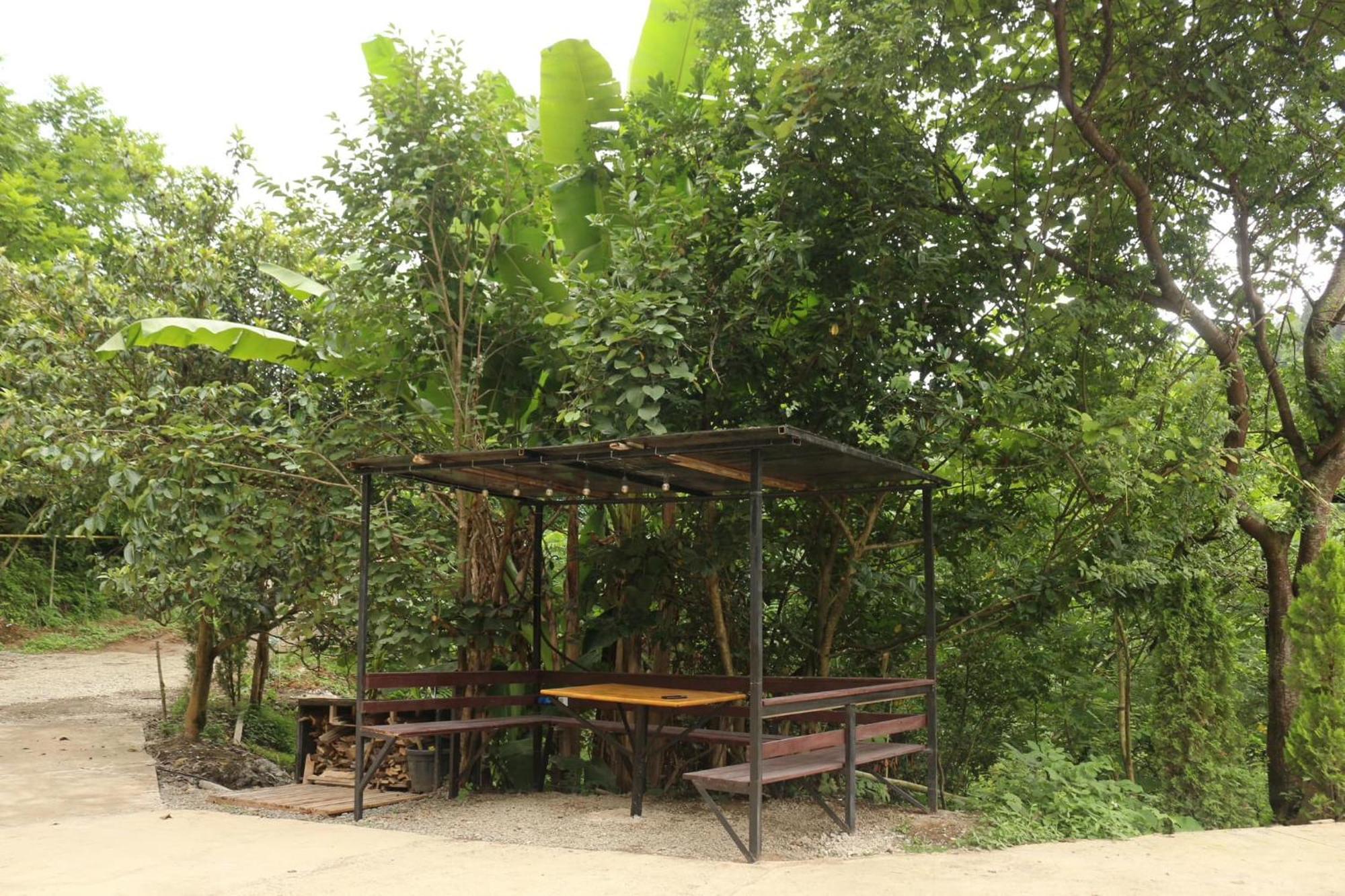 Modular House Green Zyland Y 巴统 外观 照片